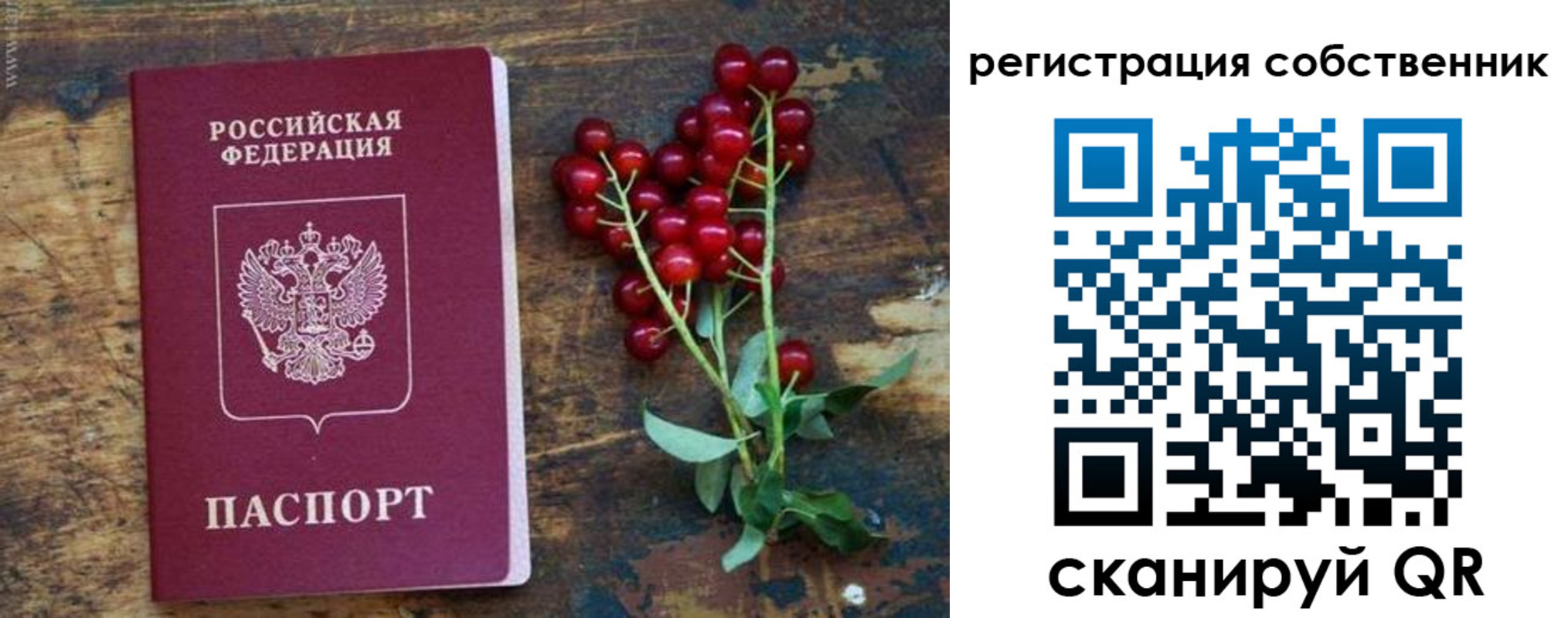 регистрация для дет. сада в Кирово-Чепецке
